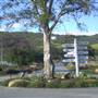 Windy Hill Ranch - El Campeon Farms