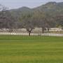 Windy Hill Ranch - El Campeon Farms