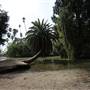 Los Angeles County Arboretum
