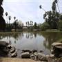 Los Angeles County Arboretum