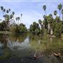 Los Angeles County Arboretum