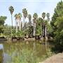 Los Angeles County Arboretum