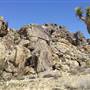 Desert View Conservation Area