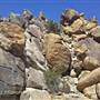 Desert View Conservation Area