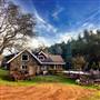 Cosumnes River Ranch