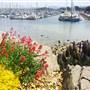 Monterey Fisherman's Wharf