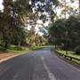 Litchfield Road