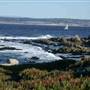 Monterey - Coastal Views
