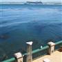 Monterey - Coastal Views