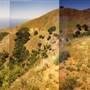 Nacimiento Fergusson Road - Forest Road No. 22S01