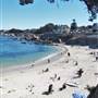 Pacific Grove