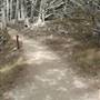 Point Lobos State Natural Reserve (SNR)
