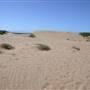 Sand City Beach / Eolian Dunes Preserve