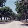 Spreckels