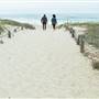 Asilomar State Beach and Conference Grounds