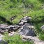 Ridge Route Ranch