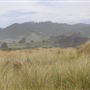 MacKerricher State Park (SP) - Inglenook Ten Mile Preserve - northern stretch - aka Ten Mile Dunes
