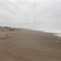 MacKerricher State Park (SP) - Inglenook Ten Mile Preserve - northern stretch - aka Ten Mile Dunes
