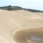 MacKerricher State Park (SP) - Inglenook Ten Mile Preserve - northern stretch - aka Ten Mile Dunes