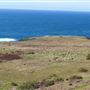 Navarro Point Preserve and Coastal Trail