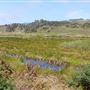Ten Mile Estuary State Marine Conservation Area - Ten Mile River