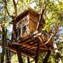 Shasta County Natural Landscapes & Parks