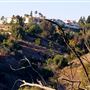 Whittier Friendly Hills