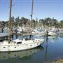 Noyo Harbor District