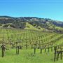 Anderson Valley Region - Mendocino County
