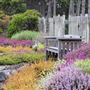 Mendocino Coast Botanical Gardens