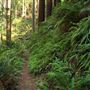 Russian Gulch State Park (SP) / Russian Gulch Bridge - Highway 1