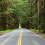 Navarro River Redwoods State Park (SP)
