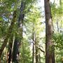 Faulkner County Park