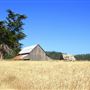 Van Damme State Park (SP) / Beach / Pygmy Forest / Fern Canyon Trail / Spring Ranch Trail
