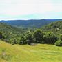 Peachland Road