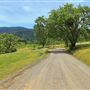 Peachland Road