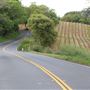 Highway 128 - Yorkville corridor