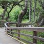 Jug Handle State Natural Reserve (SNR)