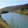 Navarro River - located in Hendy Woods State Park (SP)