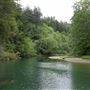 Navarro River - located in Hendy Woods State Park (SP)