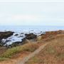 Haul Road Coastal Trail (MacKerricher State Park)