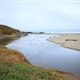 Haul Road Coastal Trail (MacKerricher State Park)