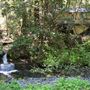 Alliance Redwoods Conference Grounds