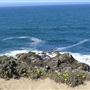Bodega Bay Coast