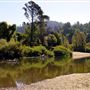 Casini Ranch Family Campground