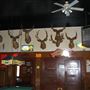 The Casino Bar & Grill