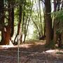 Casini Ranch Family Campground