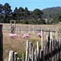Fort Ross State Historic Park (SHP)