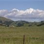 J G Angus Ranch