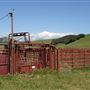 J G Angus Ranch